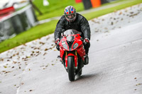 PJ-Motorsport-Photography-2020;anglesey;brands-hatch;cadwell-park;croft;donington-park;enduro-digital-images;event-digital-images;eventdigitalimages;mallory;no-limits;oulton-park;peter-wileman-photography;racing-digital-images;silverstone;snetterton;trackday-digital-images;trackday-photos;vmcc-banbury-run;welsh-2-day-enduro